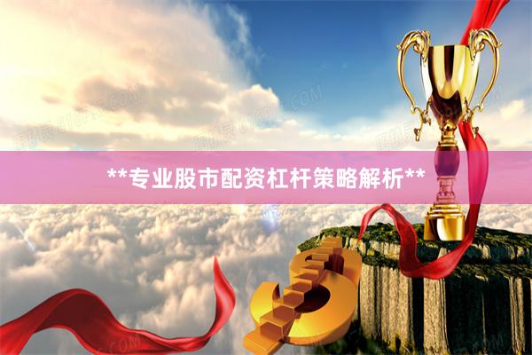 **专业股市配资杠杆策略解析**