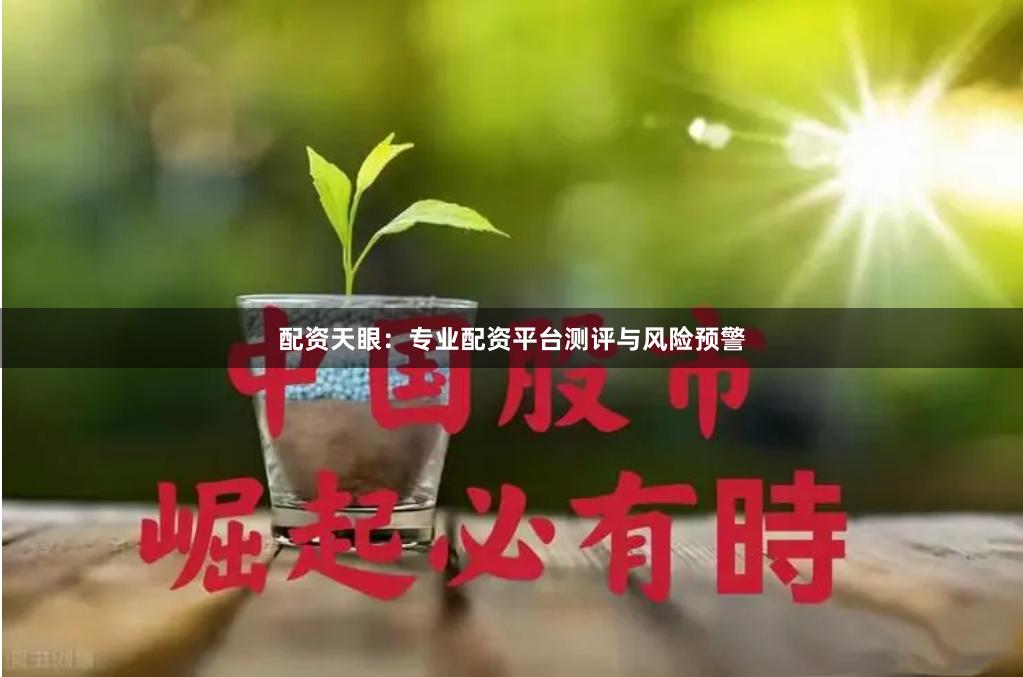 配资天眼：专业配资平台测评与风险预警